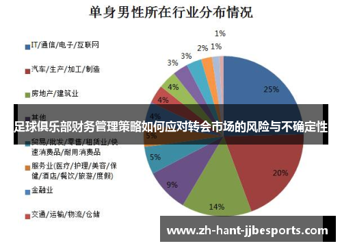 足球俱乐部财务管理策略如何应对转会市场的风险与不确定性