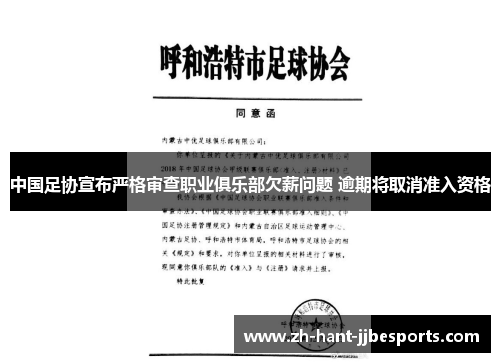 中国足协宣布严格审查职业俱乐部欠薪问题 逾期将取消准入资格
